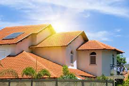 How to Prevent Moss Growth on Residential Roofs in Texas