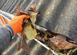 Get Gutters Ready for Fall: A Protective Guide for Texas Homeowners